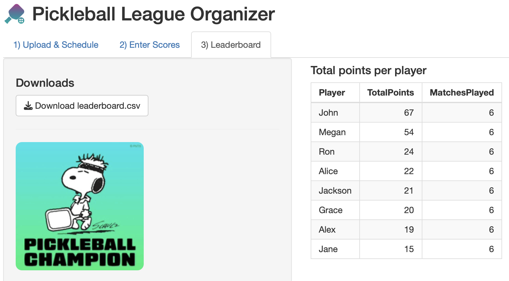 Pickleball League Organizer Shiny App screenshot